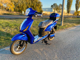 Bicicletă electrică ZTECH ZT-09-A Classic 48V 12Ah 300W 25km/h