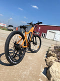 Bicicletă electrică ZTECH ZT-85 Matra 250W 36V 12Ah